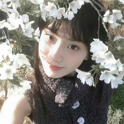 玫瑰娇藏